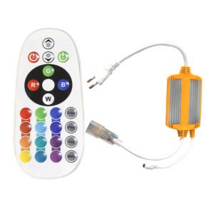 CONTROL REMOTO Y DRIVER 220V