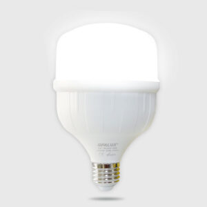 FOCO LED 30W