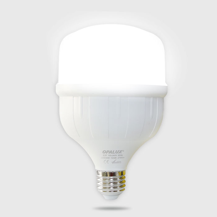 FOCO LED 30W