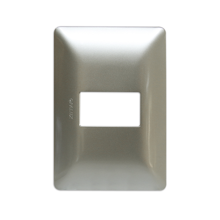 PLACA SIMPLE COLOR SILVER