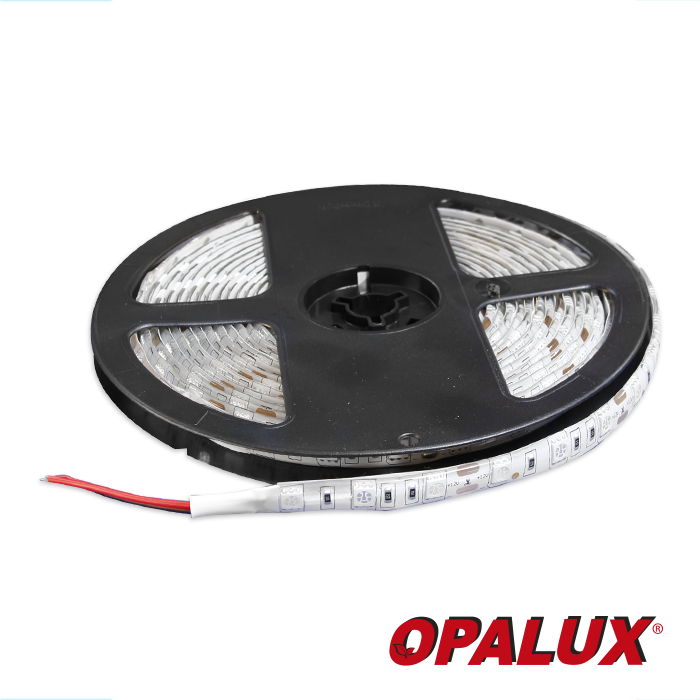 CINTA SILICONADA LED LUZ AZUL 5 MTS.