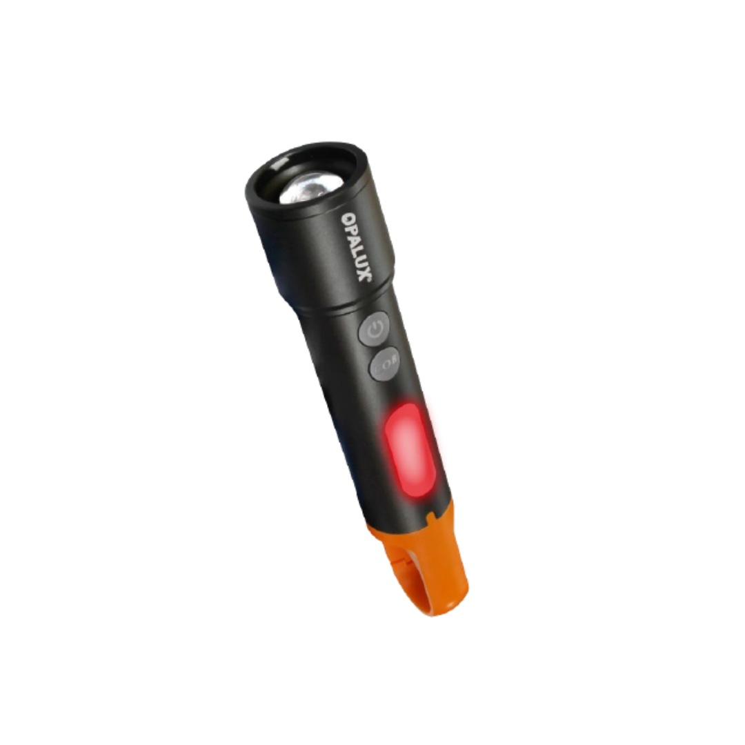 LINTERNA 10W