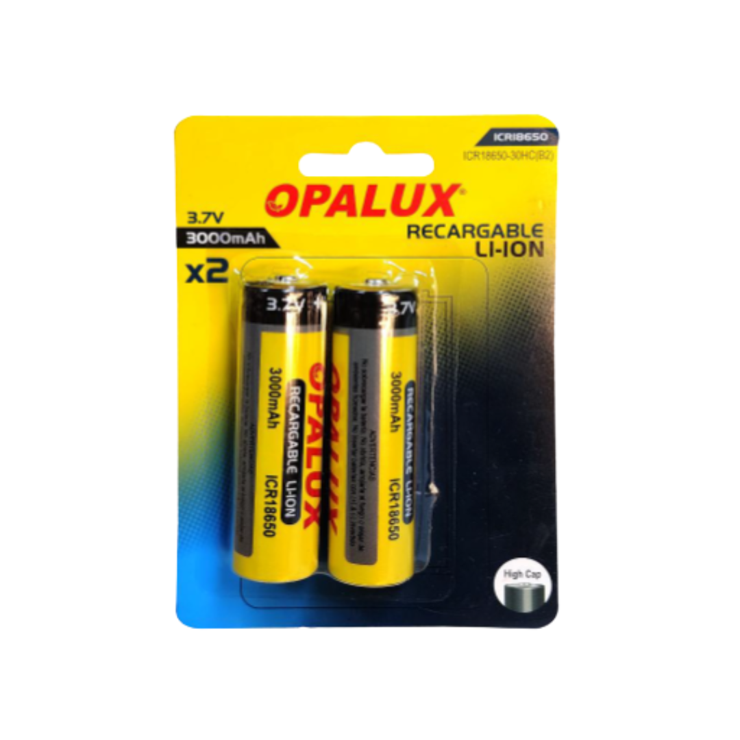 BATERÍA RECARGABLE LI-ION DE POLO SOBRESALIENTE